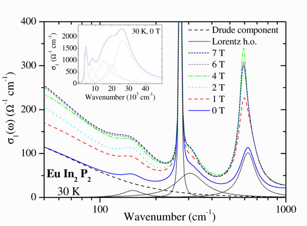 Enlarged view: Figure 1.6