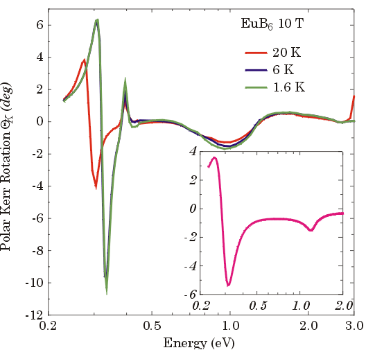Enlarged view: Figure 1.4